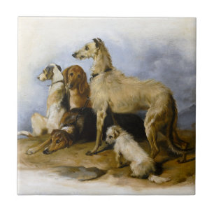 Vintage Dog Breeds Print Tile