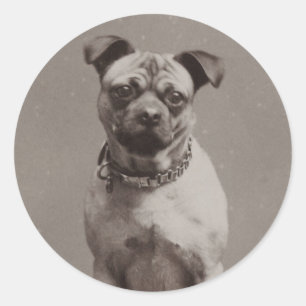 Vintage Dog Classic Round Sticker