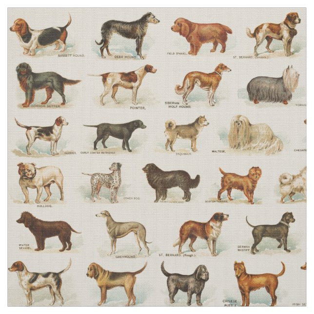 Vintage Dog Drawings Patterned Fabric (Swatch)