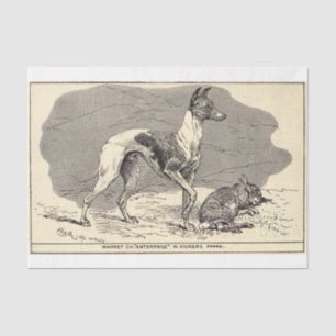 Vintage Dog Ephemera Decoupage Whippet Tissue Paper