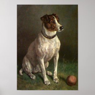Vintage Dog Image Poster