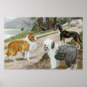 Vintage Dog Lovers Art Collie Trio Poster