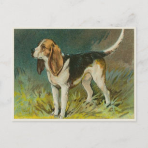 Vintage Dog Postcard With Cute Beagle