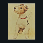 Vintage Dog Print Fox Terrier Postcard<br><div class="desc">Vintage print</div>