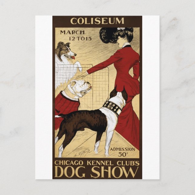 Vintage Dog Show Chicago Postcard (Front)