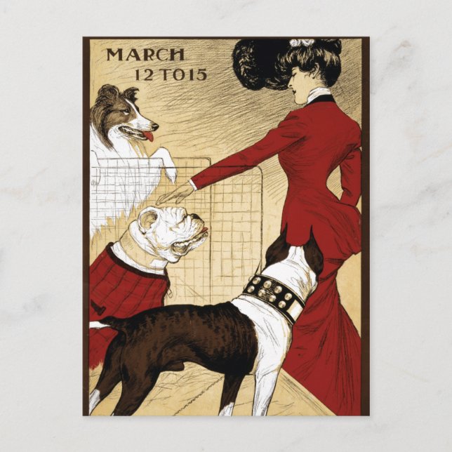 Vintage Dog Show Illustration Art Old Antique Postcard (Front)