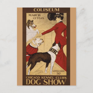 Vintage Dog Show Postcard