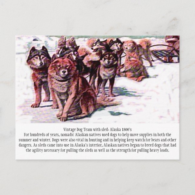 "Vintage Dog Team: Alaska" Postcard (Front)