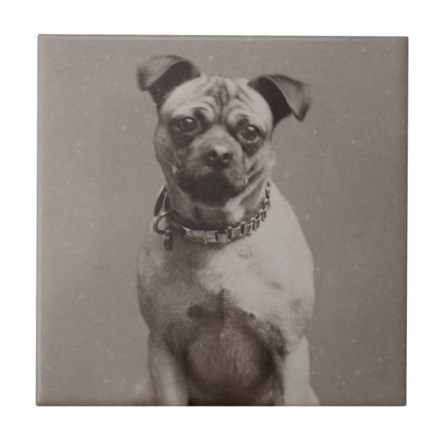 Vintage Dog Tile (Front)