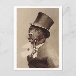 Vintage Dog with a Top Hat and Pipe Photo Postcard