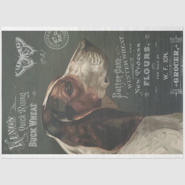 Vintage Dog with Ephemera Decoupage Tissue Paper (Front)