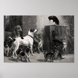 Vintage Dogs And Cats Meeting In The Alley Poster