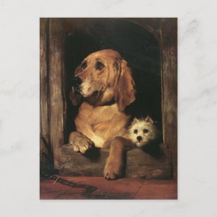 Vintage Dogs Best Friends Postcard