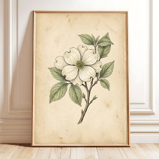 Vintage Dogwood Flower Wall Art