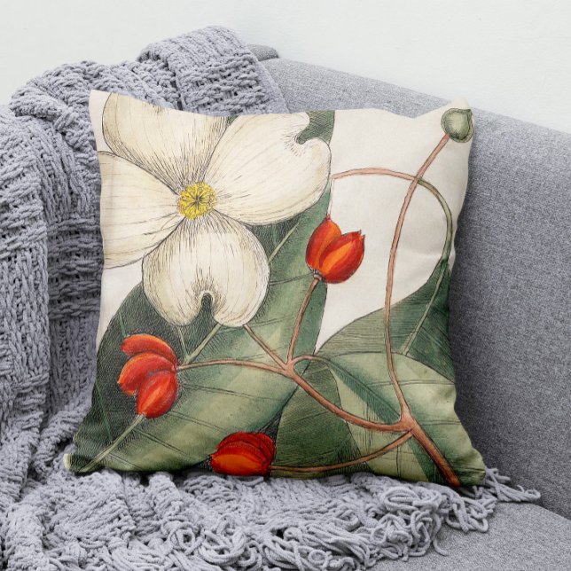 Vintage Dogwood Tree Flower Illustration Cushion (Our Modern Vintage Dogwood Tree Flower Illustration Throw Pillow Adds a Splash of Color to Any Room!)