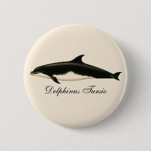 Vintage Dolphins Delphinus Tursio, Marine Mammals 6 Cm Round Badge