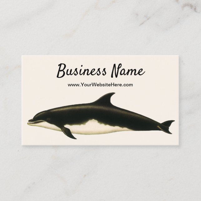 Vintage Dolphins Delphinus Tursio, Marine Mammals Business Card (Front)