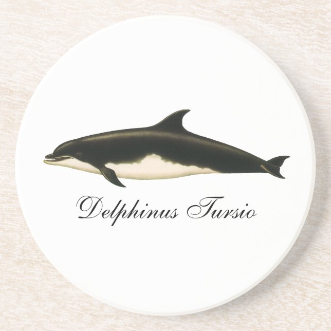 Vintage Dolphins Delphinus Tursio, Marine Mammals Coaster (Front)