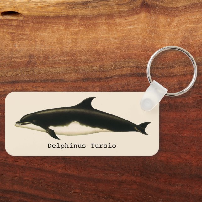 Vintage Dolphins Delphinus Tursio, Marine Mammals Key Ring (Front)