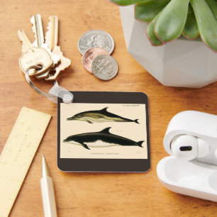Vintage Dolphins, Marine Animals and Mammals Key Ring