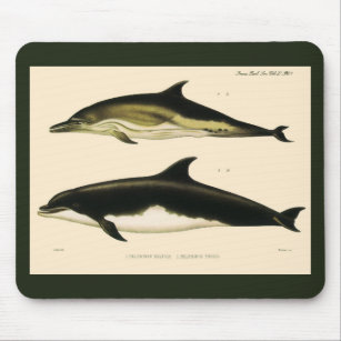 Vintage Dolphins, Marine Animals and Mammals Mouse Mat