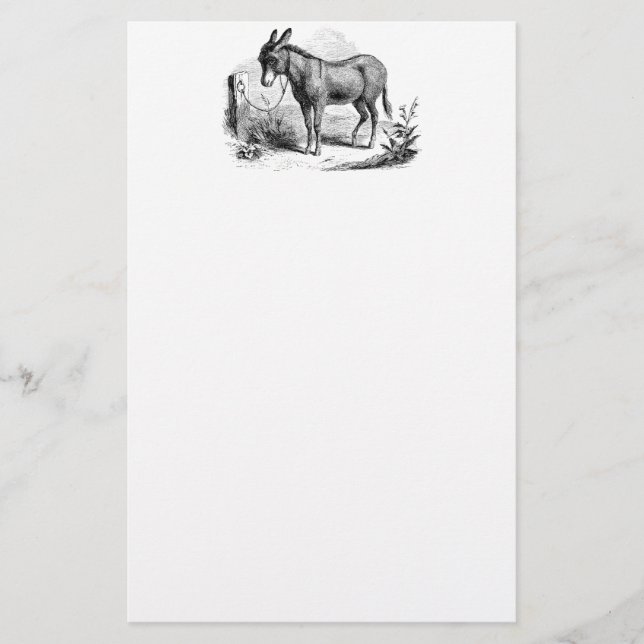 Vintage Domestic Donkey Personalised Retro Donkeys Stationery (Front)