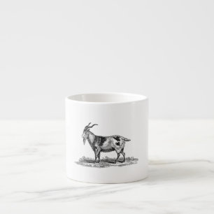 Vintage Domestic Goat Illustration - 1800's Goats Espresso Cup