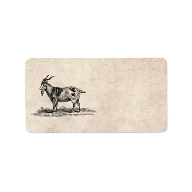 Vintage Domestic Goat Illustration - 1800's Goats Label (Front)