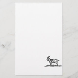 Vintage Domestic Goat Illustration - 1800's Goats Stationery