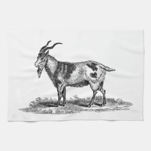 Vintage Domestic Goat Illustration - 1800's Goats Tea Towel