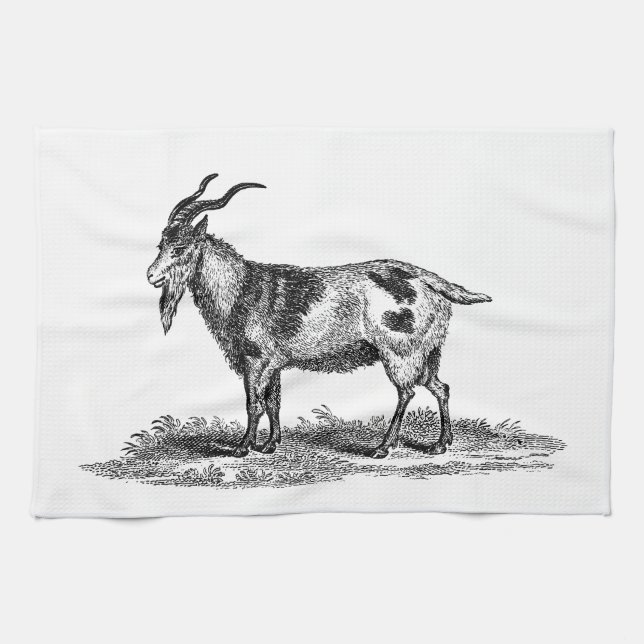 Vintage Domestic Goat Illustration - 1800's Goats Tea Towel (Horizontal)