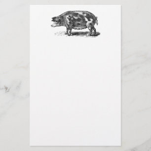 Vintage Domestic Hog Illustration - 1800's Pig Stationery
