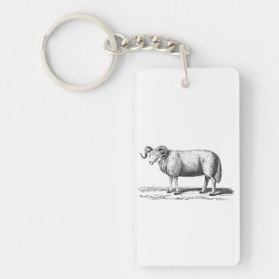 Vintage Domestic Sheep Illustration - 1800's Ram Key Ring