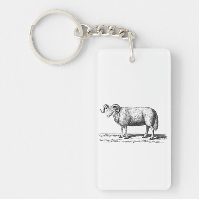 Vintage Domestic Sheep Illustration - 1800's Ram Key Ring (Front)