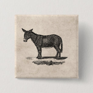 Vintage Donkey Illustration - 1800's Donkeys 15 Cm Square Badge