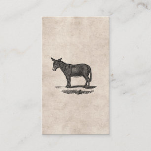 Vintage Donkey Illustration - 1800's Donkeys Business Card