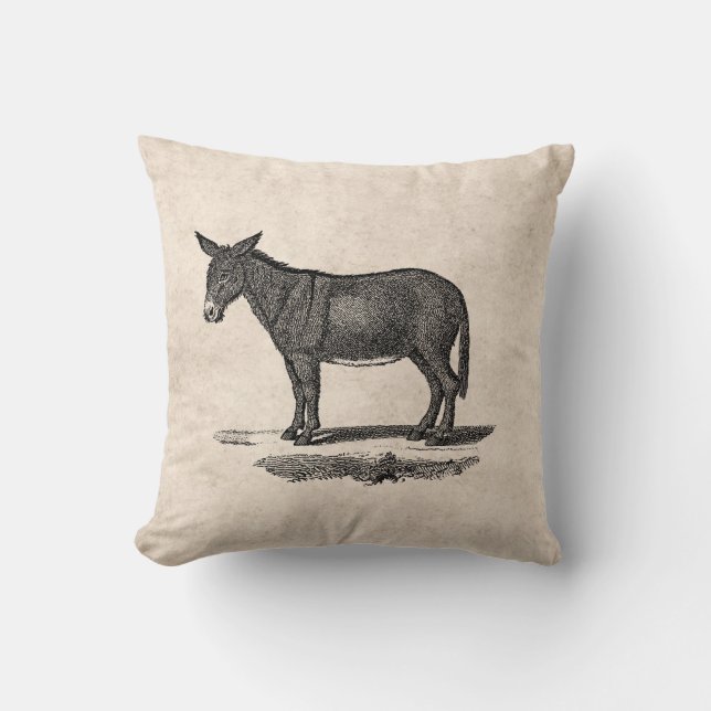 Vintage Donkey Illustration - 1800's Donkeys Cushion (Front)