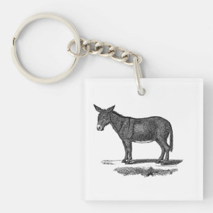 Vintage Donkey Illustration - 1800's Donkeys Key Ring