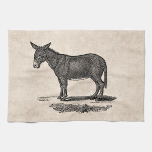 Vintage Donkey Illustration - 1800's Donkeys Tea Towel