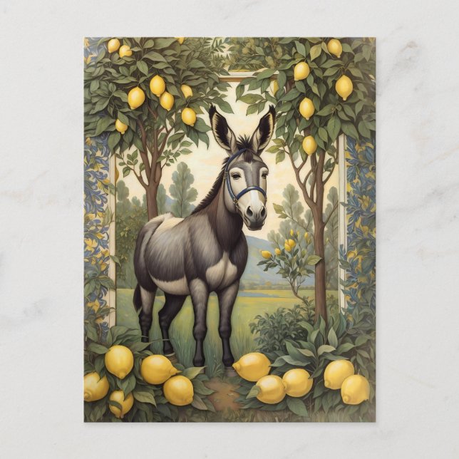 Vintage Donkey Under the Lemon Trees Postcard (Front)