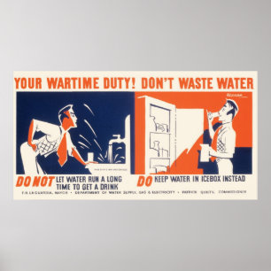 Vintage Don't Waste Water WPA Poster