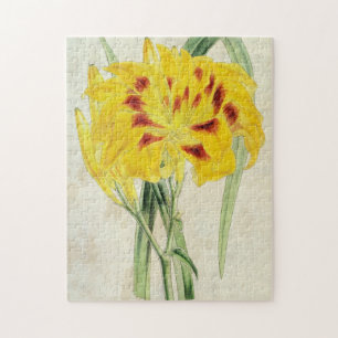 Vintage Double-Flowered Distichous Daylily Jigsaw Puzzle