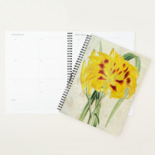 Vintage Double-Flowered Distichous Daylily Planner