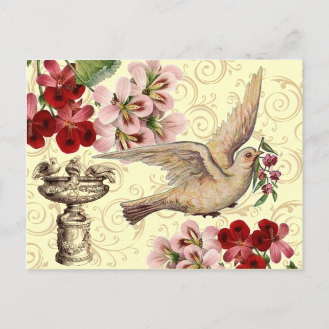 Vintage Dove & Birdbath Postcard (Front)