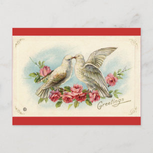 Vintage Doves Valentine Postcard