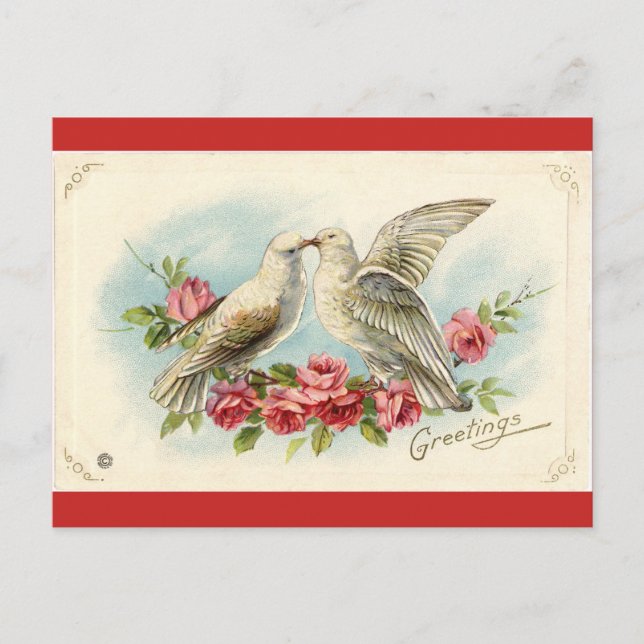 Vintage Doves Valentine Postcard (Front)