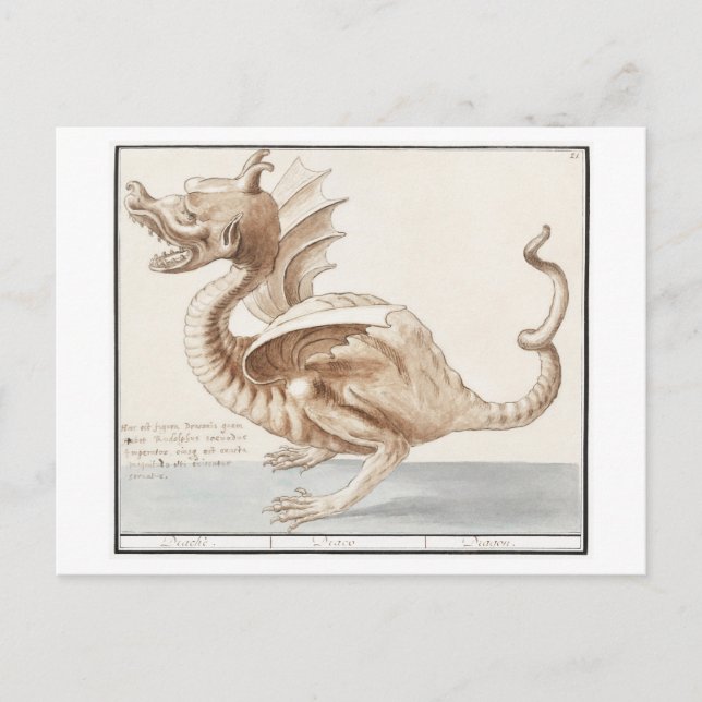 Vintage Dragon Illustration Postcard (Front)