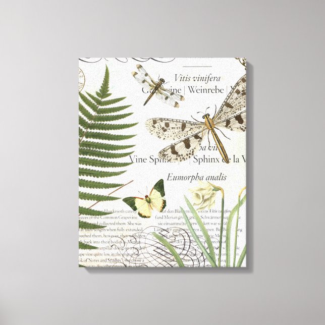 Vintage Dragonflies stretched canvas Print (Front)