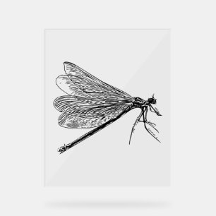 vintage dragonfly acrylic sign