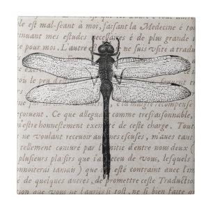 Vintage Dragonfly and Antique Text Collage Tile